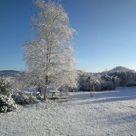 Agriturismo Tra Serra E Lago Farm stay *