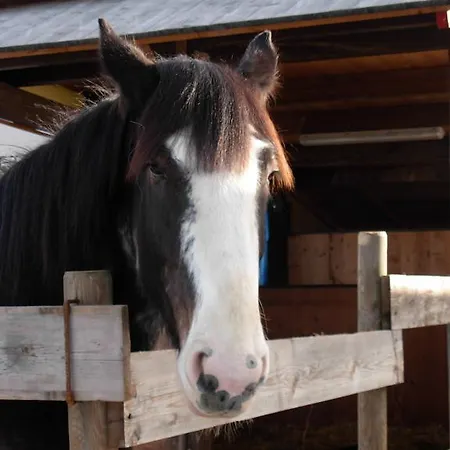 Tra Serra E Séjour à la ferme