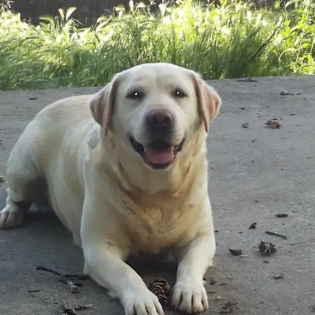 Séjour à la ferme Tra Serra E Roppolo
