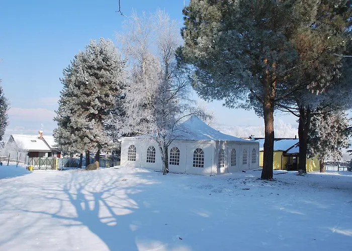 Alojamento de Turismo Rural Tra Serra E *