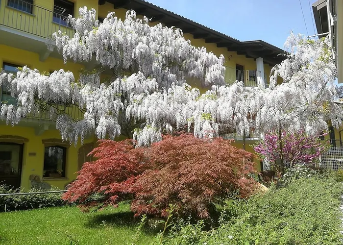 Alojamento de Turismo Rural Tra Serra E