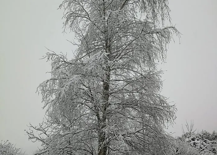 Alojamento de Turismo Rural Tra Serra E *